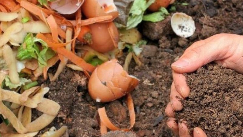 rác thải sinh hoạt