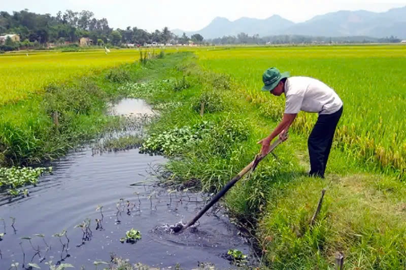 chất thải nông nghiệp