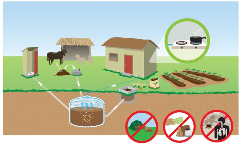 hầm biogas