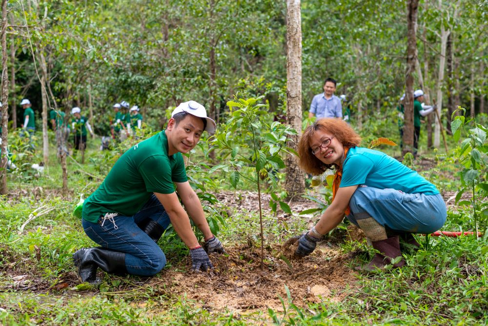 Ô nhiễm môi trường đất: Nguyên nhân chính, hậu quả và giải pháp