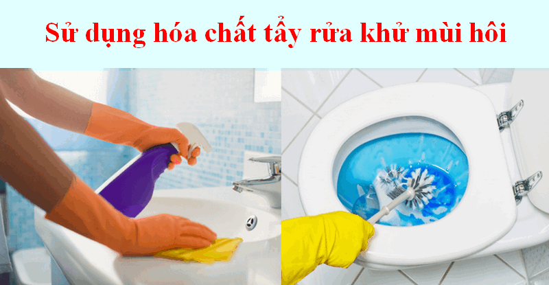 xử lý mùi hôi nhà vệ sinh