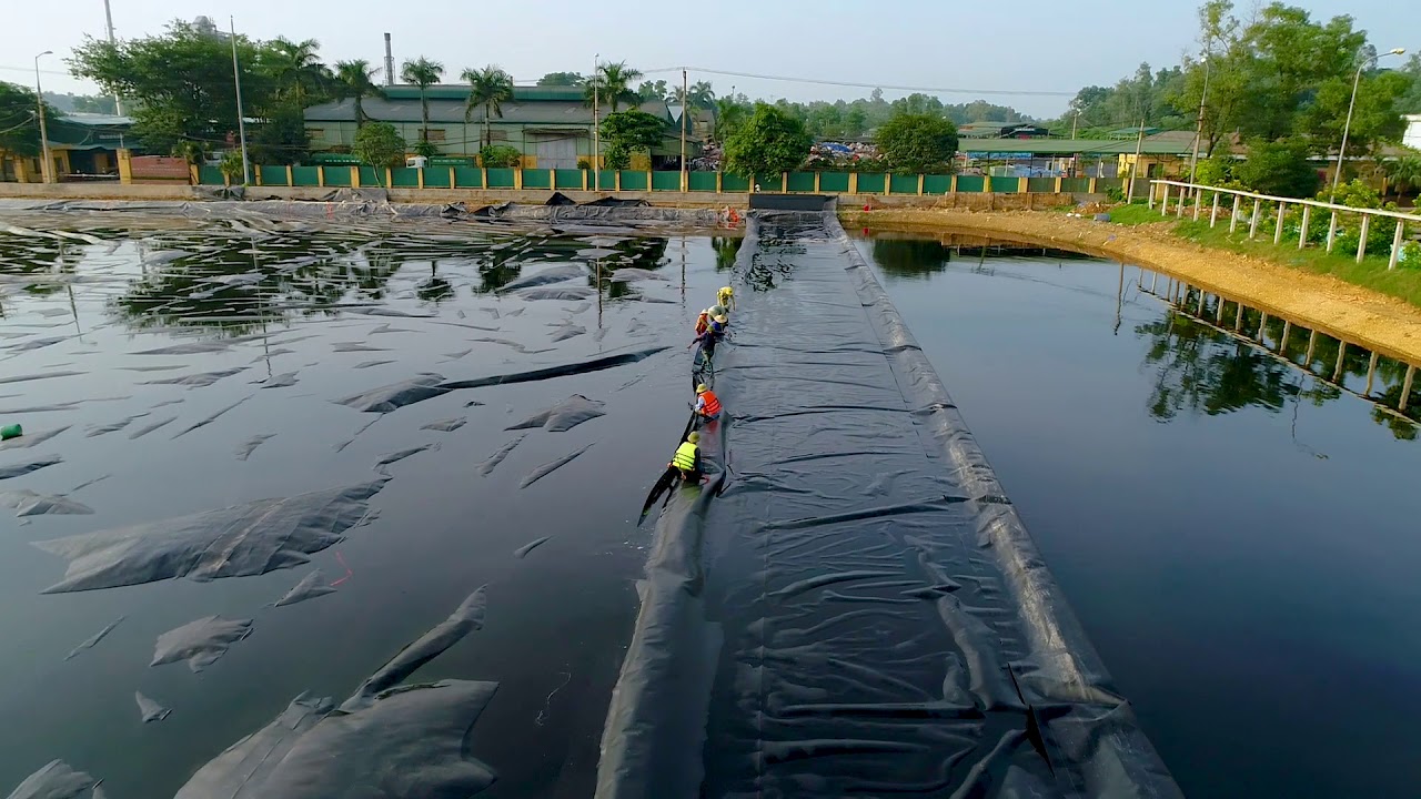 Phương pháp sinh học hiếu khí