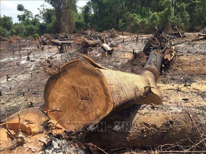 Biến đổi khí hậu làm sự suy giảm đa dạng sinh học