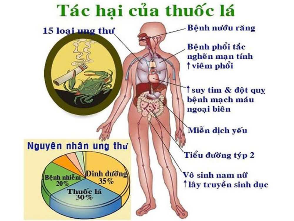 tác hại của thuốc lá