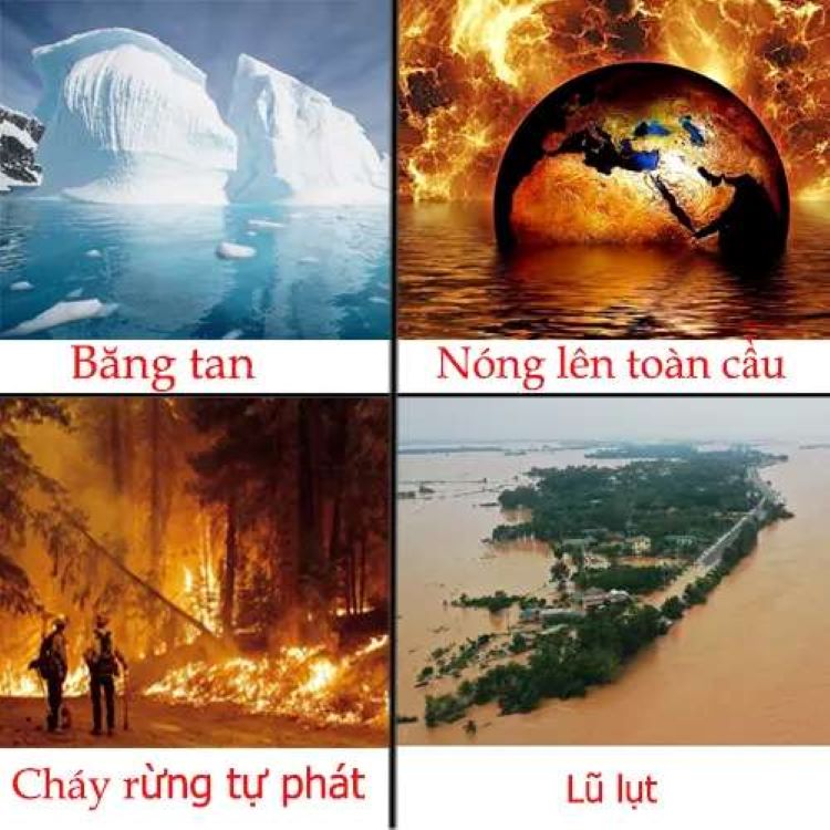 hiệu ứng nhà kính