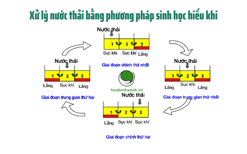 hệ thống xử lý nước thải