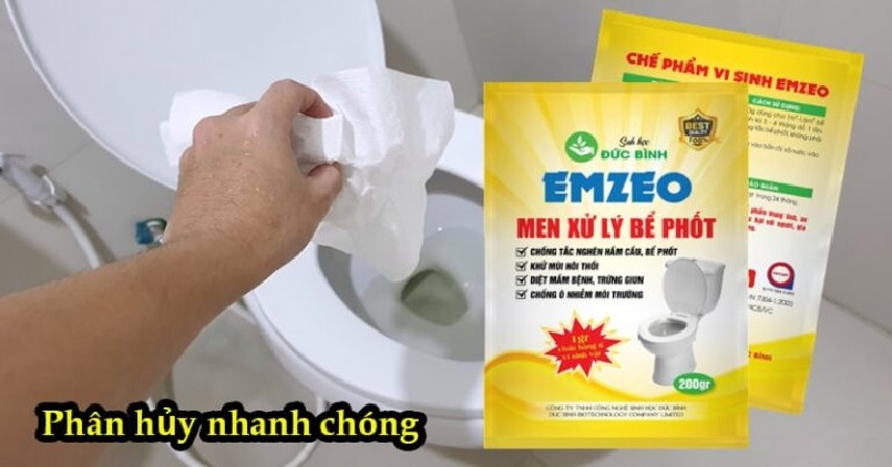 hầm cầu tự hoại