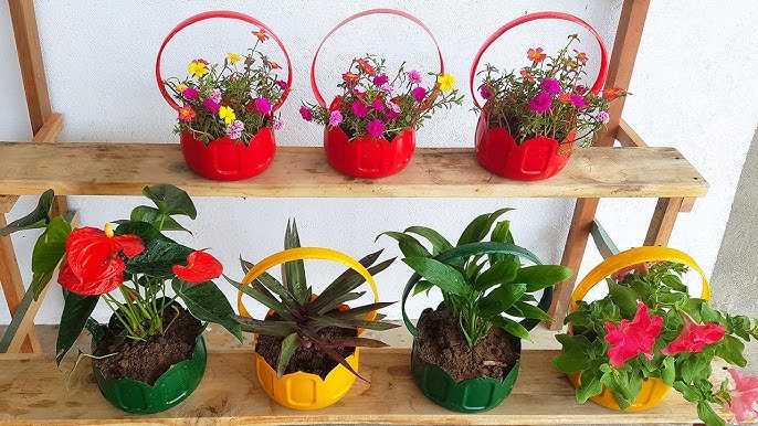 tái chế chai nhựa trồng cây